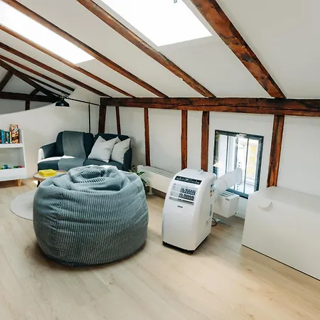 Grand Host 2 -130 Sqm Free Parking & Near Congress Centre * Biel